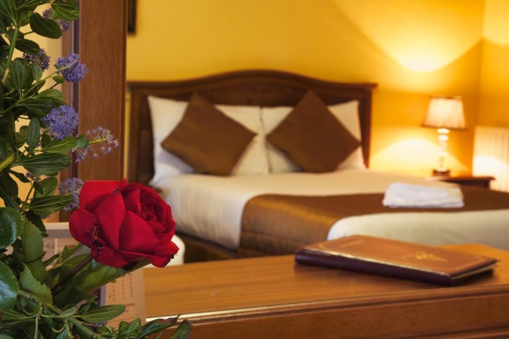 Отель GN Abbey Court Hotel, Lodges & Trinity Leisure Spa Нина-52